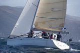 grand cru gbr6969t whyw25 750_5926